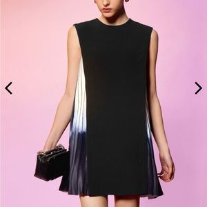Side pleated shift dress